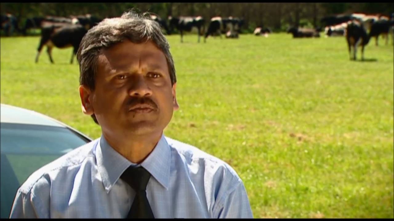 Hot Milk: The Longwarry Story