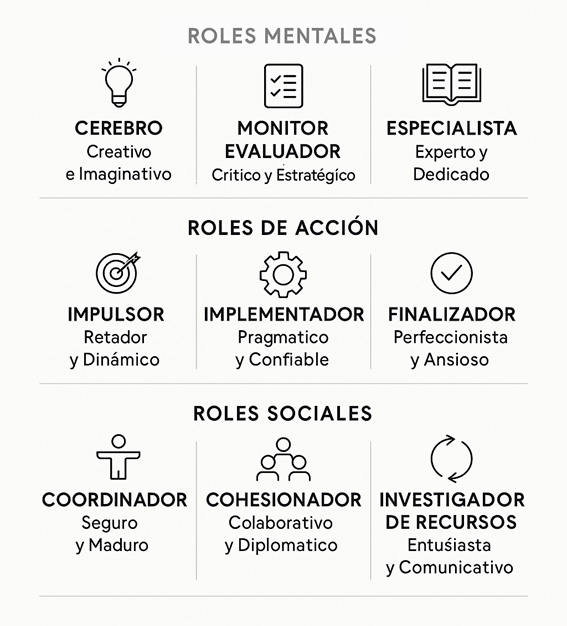 que son los roles de equipo belbin y como identificarlos, margaritamayo
